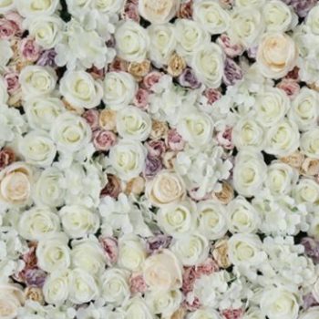 Cream flower wall hire Melbourne