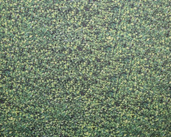 photo booth hire jungle backdrop