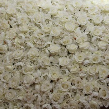 White flower wall hire Melbourne